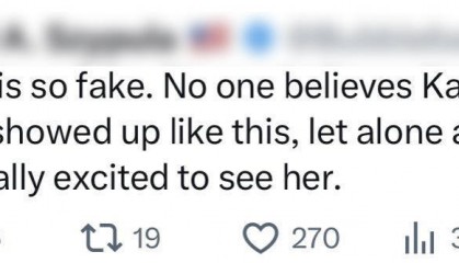 大选前夜哈里斯在宾州上门拉票，网友嘲讽：一点不像摆拍