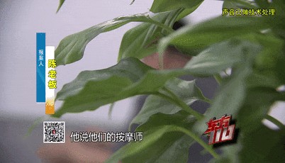 太蹊跷!表演系女大学生来应聘,第二天竟集体消失