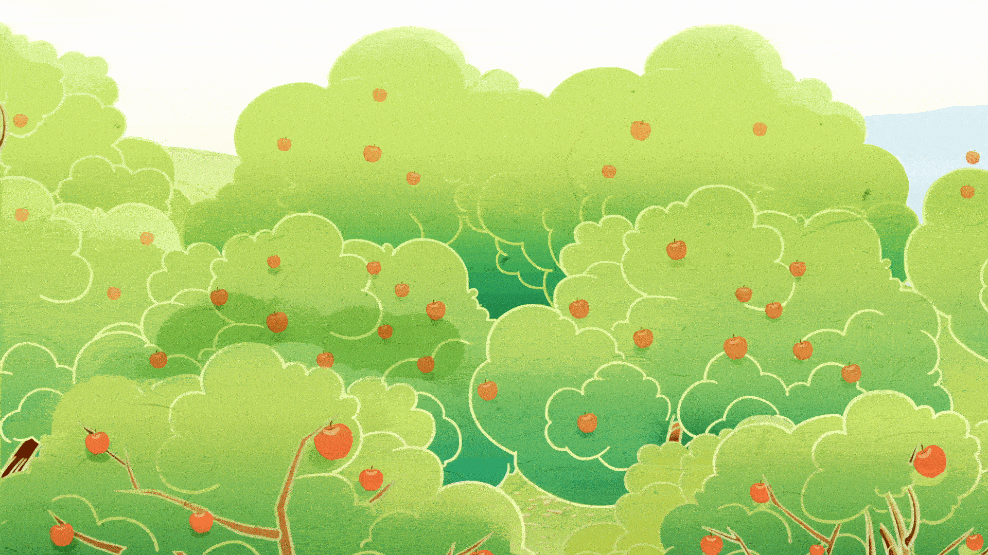 一颗果·香甜致富之路 An apple that makes a sweet and affluent future