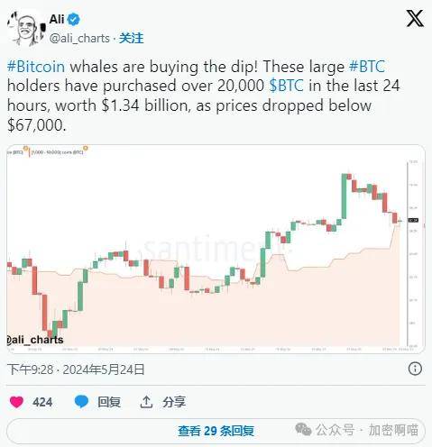 比特币鲸鱼趁价格跌破逢低买入，鲸鱼活动激增，牛市信心回归