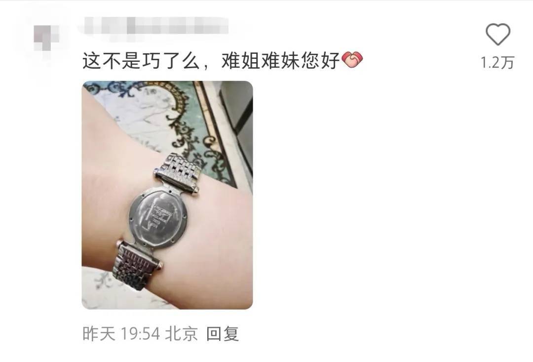“浪还在琴没了”万元腕表戴出门回来仅剩一根表带？