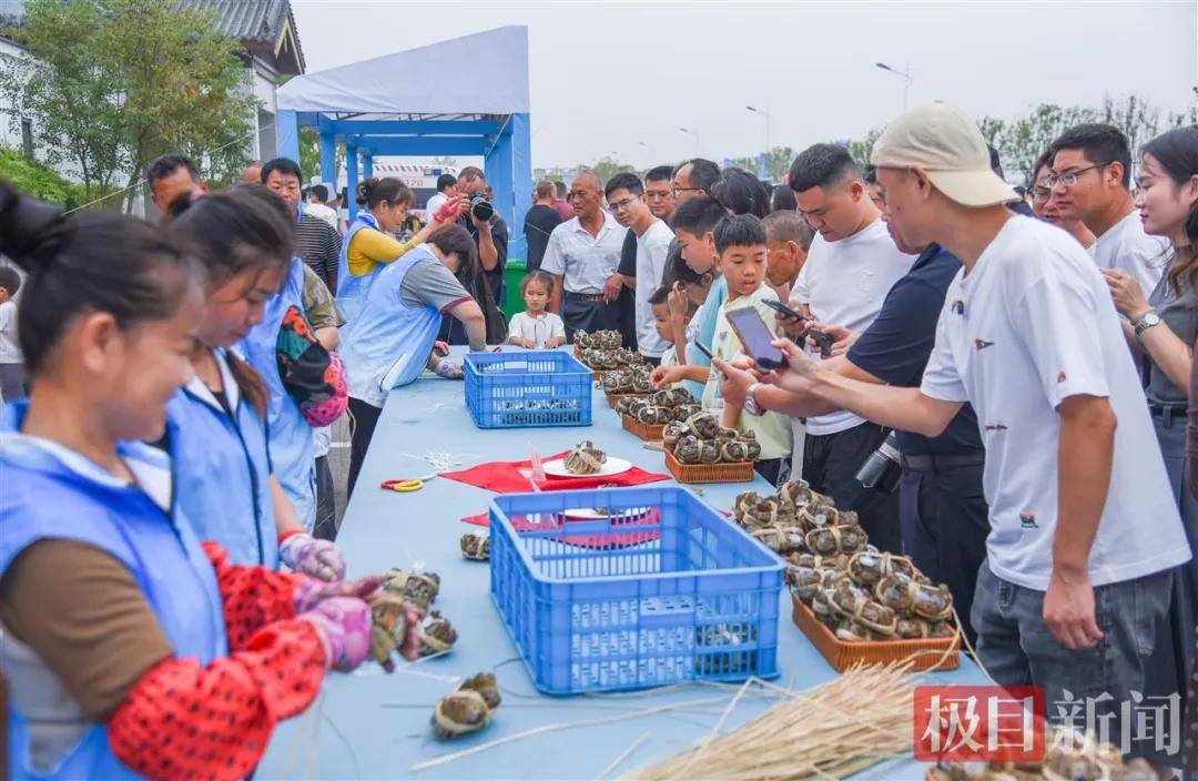 湖北一地“蟹王”“蟹后”拍出1.9万元，螃蟹专家：还不止这个价