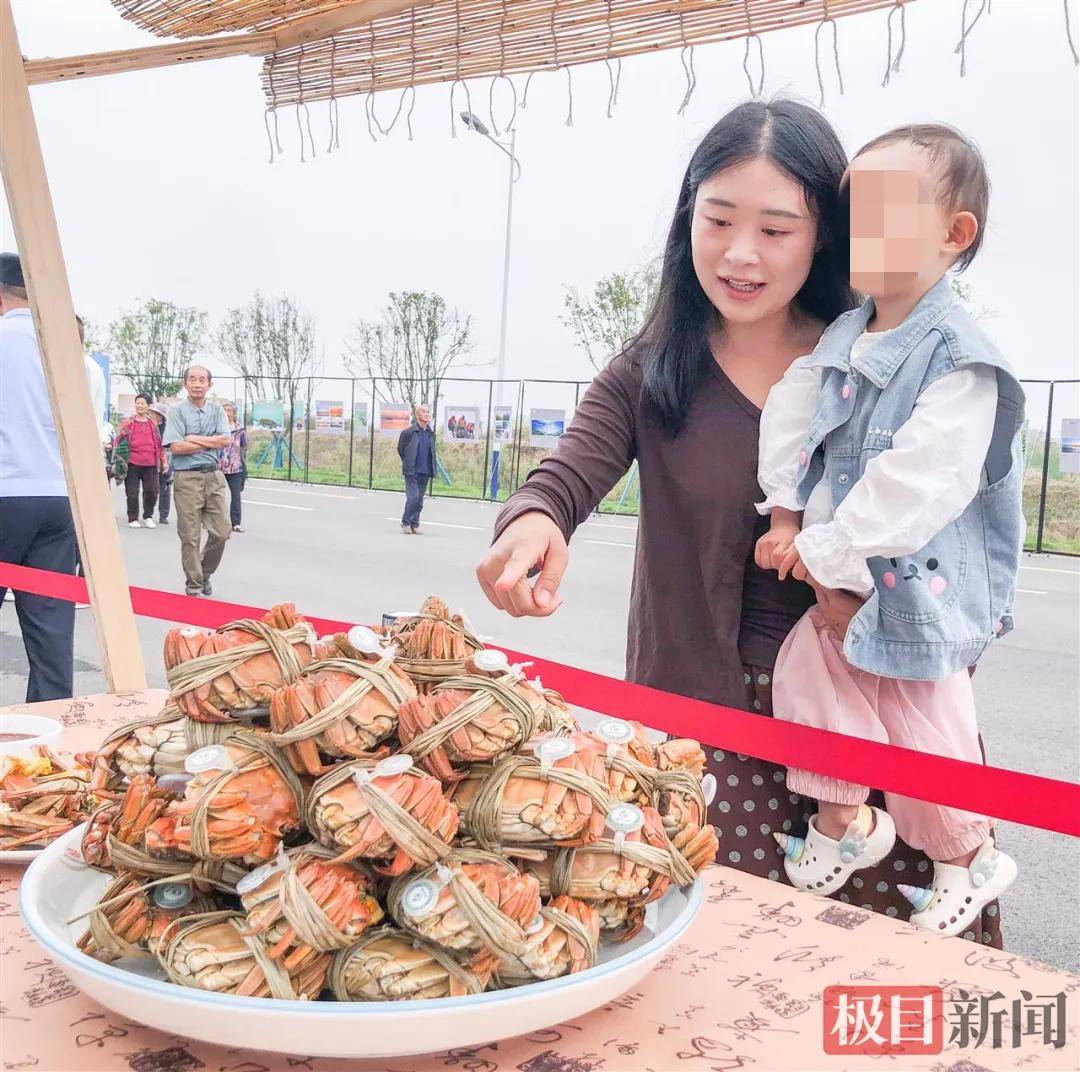 湖北一地“蟹王”“蟹后”拍出1.9万元，螃蟹专家：还不止这个价