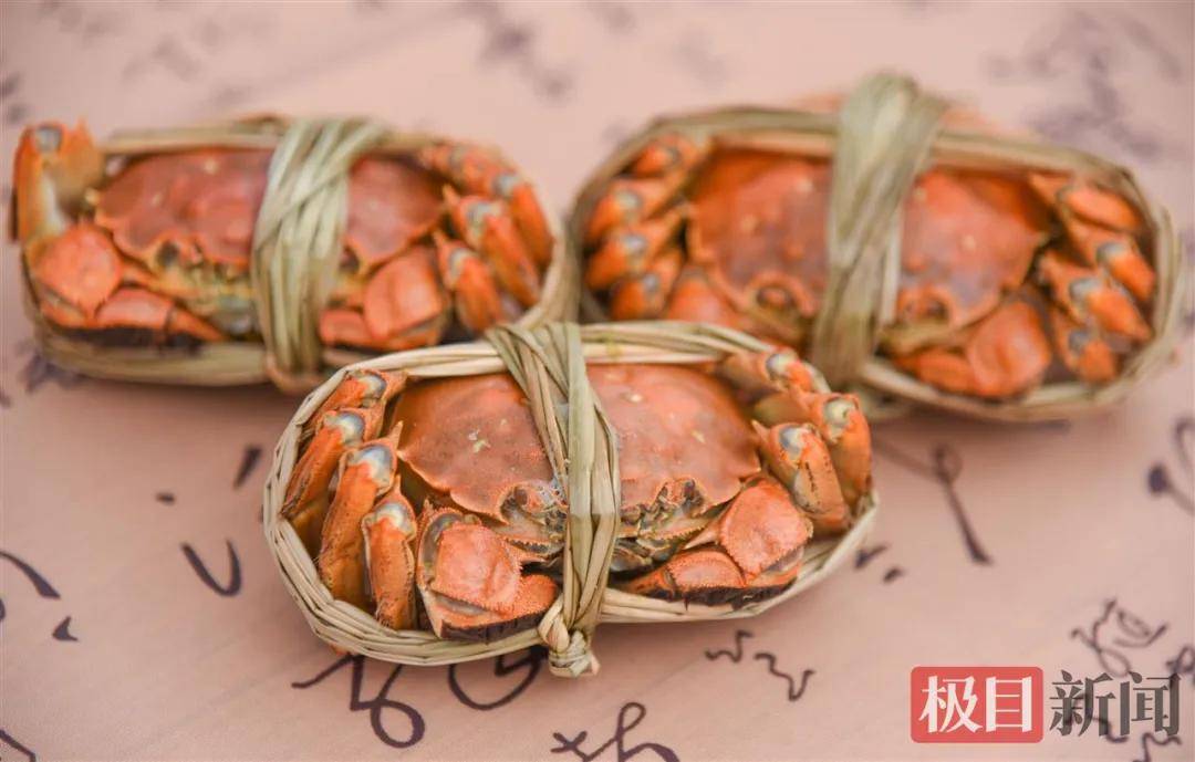 湖北一地“蟹王”“蟹后”拍出1.9万元，螃蟹专家：还不止这个价
