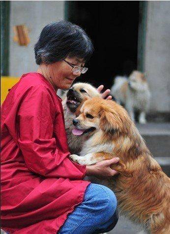 合肥卖房救助流浪狗的魏阿姨离世，病中仍然惦记着基地的600只流浪狗，工人：不敢相信世上还有这样执着的人